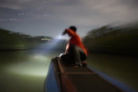 Enchanting Bohol Firefly Cruise and Dinner