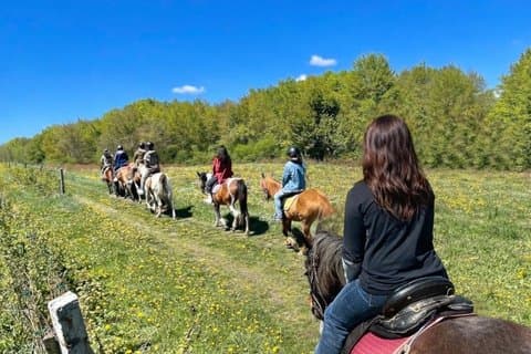 Dia de equitação e cerâmica All inclusive em Borovets
