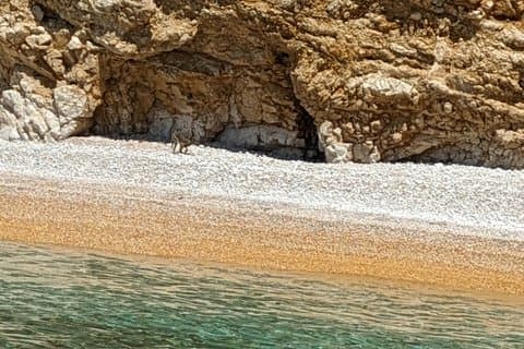 2-stündige Bootstour zu den wilden Buchten von Stara Baška
