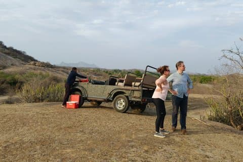 Jodhpur naar Udaipur Via Jawai Leopard Safari, Ranakpur Tempel Tour