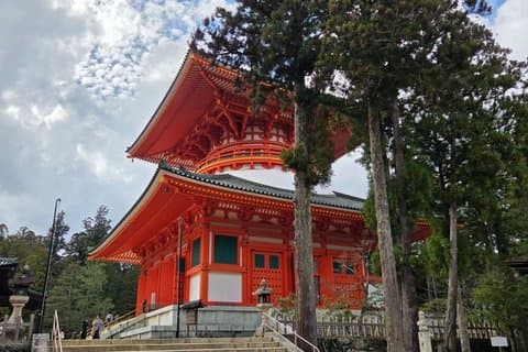 Koyasan Private Tour: Kongobuji & Danjo Garan with Spanish Guide