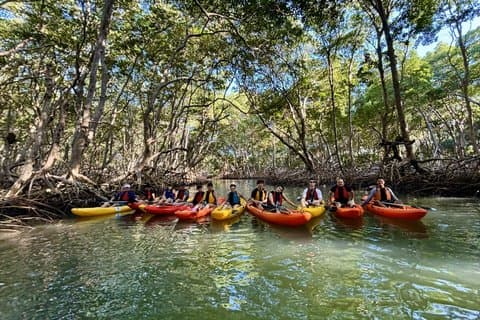 Kayaking tour of the Mangue Tunnel in Luis Correia