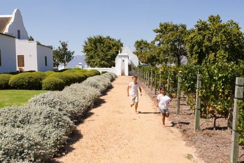 Excursão de um dia em Cape Winelands com degustação de doces e visitas à fazenda