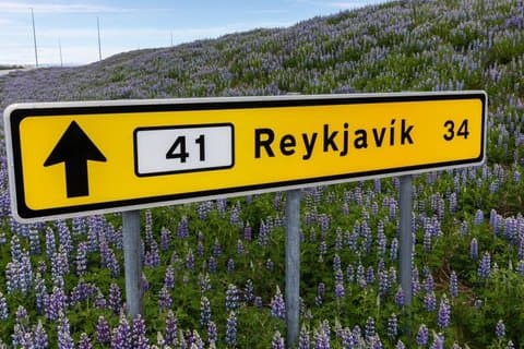 Flughafen Keflavik (KEF) nach Reykjavik : Privater Transfer bei Ankunft