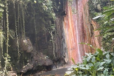 St Lucia Botanical Garden Mud Baths and Waterfall Experience