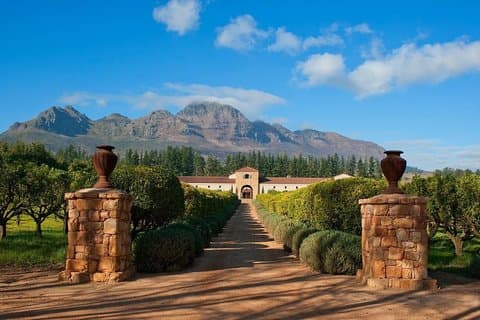 Visita VIP de dia inteiro ao vinho de Stellenbosch com Waterford Delaire Graff