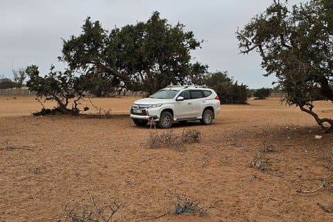 Esperienza privata di lusso nel deserto e nell'oasi da Agadir in 4x4