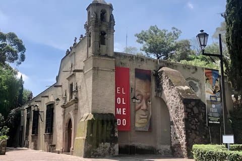 Tour Exclusivo La Vida de Frida Kahlo en el Museo Dolores Olmedo