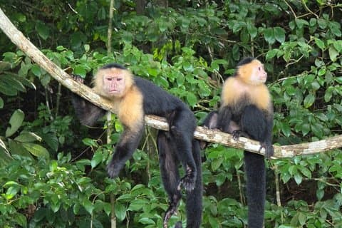 Ecotour e aldeia indiana