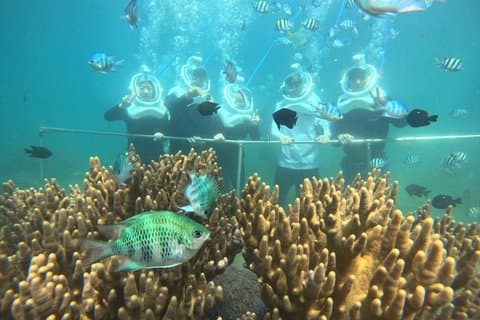 Cham Island vandreture under vand og snorkling
