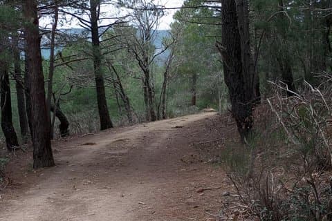 Cercedilla-vandruten med officiel guide, boutique-vandreture