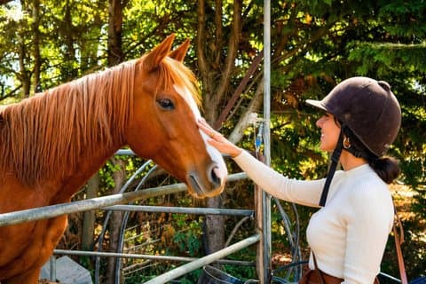 Excursion à cheval dans les collines du Chianti en Toscane