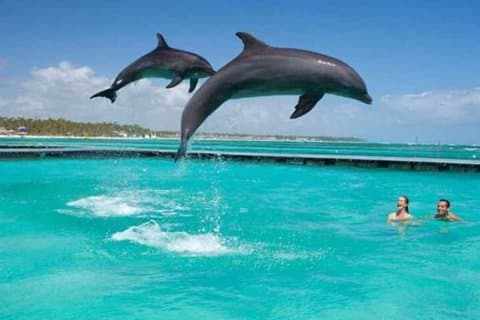 ムネンバ島,スパイス農園とジョザニの森