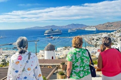 Mykonos Half Day Private Tour - Explore the Island with a Local