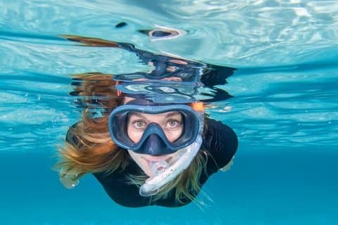 Snorkling i Lissabon med SSI International-certifiering i Arrábida
