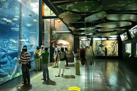 Explora Medellín Park: algemene toegang