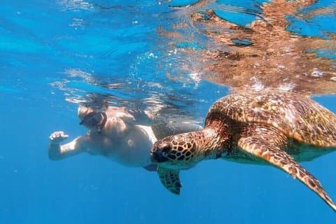 セミプライベートシュノーケリングアドベンチャー