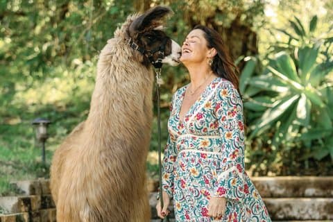 Alpaca Lama en Bunny Tea Party's
