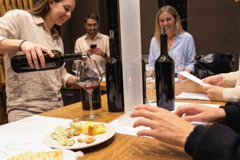 Vinblandingsoplevelse i Uco Valley + frokost og privat transport