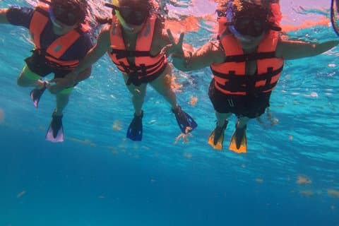 2.5 Horas de Snorkel Costa Maya