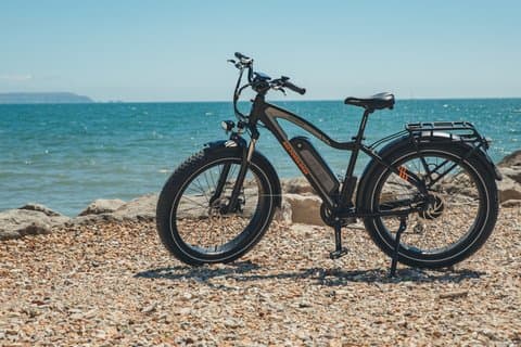 Rad-Power Radrhino 5 E-Bike Rental in Athens