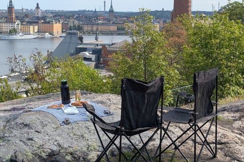 Hoogtepunten van Stockholm en Cliffside Fika Picknick