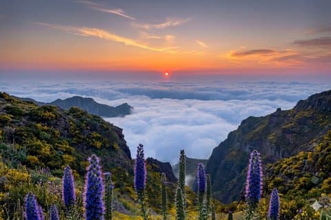 Privat 4x4 Sunrise Tour på Madeira