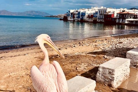 1 timme Mykonos Island Tour i Mykonos