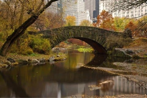 Discovering Central Park. Day Tour Walking Tour