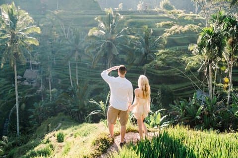 Bali Private Customized Tour med lokal chauffør