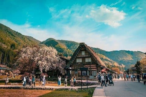 Hakodate Full Day Customized Tour with Local Guide by Private Car