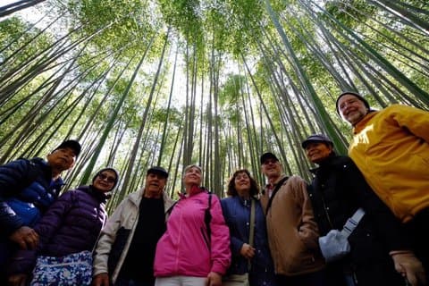 Visitante de primeira vez em Kyoto Private & Personalized Walking Tour