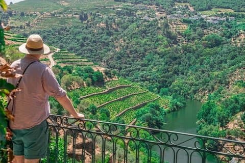 Från Porto till Dourodalen i en heldagstur i liten grupp