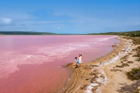 Perth 2 - Dagstur: Pinnacles, Pink Lake & Stargazing (Tues, Thu)