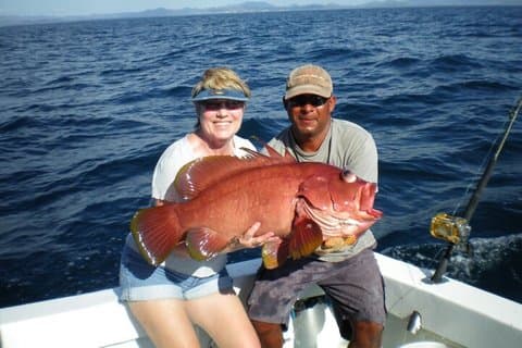 Hurghada : Private Fishing Full Day Boat with Transfer & Lunch