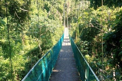 Roatan Eco Walk & Suspension Bridges and Nature Tours