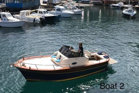 Panoramic Boat Tour on Lake Iseo