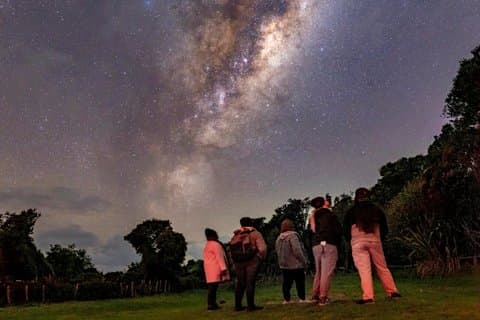 Tour di osservazione delle stelle nel cielo oscuro ad Auckland