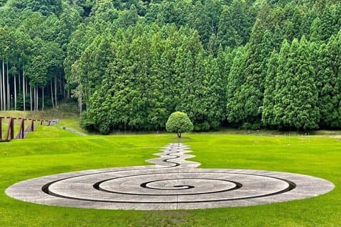 Nara Private Tour Naturtempel Beyound Tourist Spots