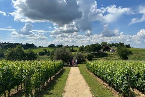 Excursión de un día a Saint-Émilion y sus castillos en un tour privado (furgoneta de lujo).