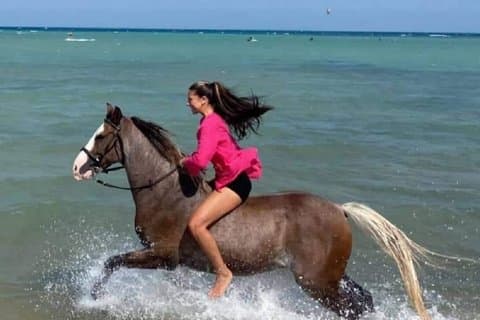 Hurghada : Horse Riding 2 Hours Sea & Desert with Transfer
