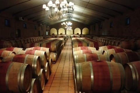 Aktiviteter i nærheden af Exclusive Pinotage Wine Private Tour