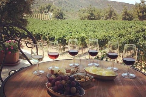 Local Gems: The Bodrum Producer Discover