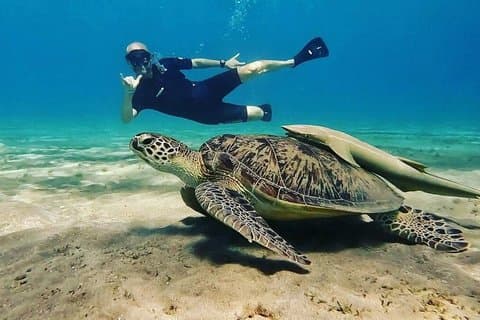 Hurghada: Dia privado para Abu Dabbab Beach Marsa Alam com almoço