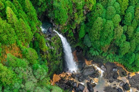 São Miguel: Level 3 Wild Canyoning in Lombadas, Azores