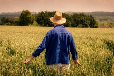 Excursión inmersiva única en Van Gogh en Auvers sur Oise - 1,5 horas