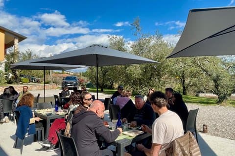 Gourmet Food Tasting with Olive Oil Pairing at Lake Garda