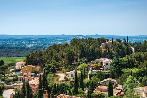 Private Shore Tour: Avignon & Châteauneuf-du-Pape från Marseille