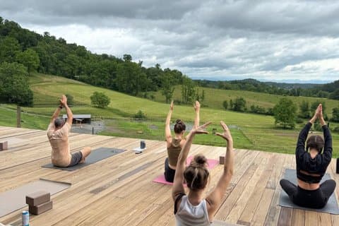 Yoga bland hästarna