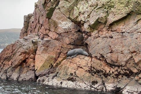 Exklusive Kleingruppenreise zu den Ballestas-Inseln